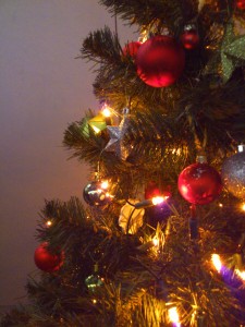 DSC_0050 DSC_0050