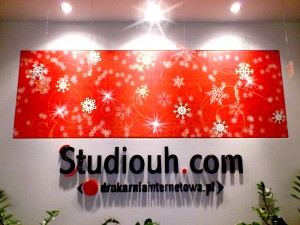 studio canvas