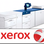 Czy potrzebne są sterowniki do Xeroxa?