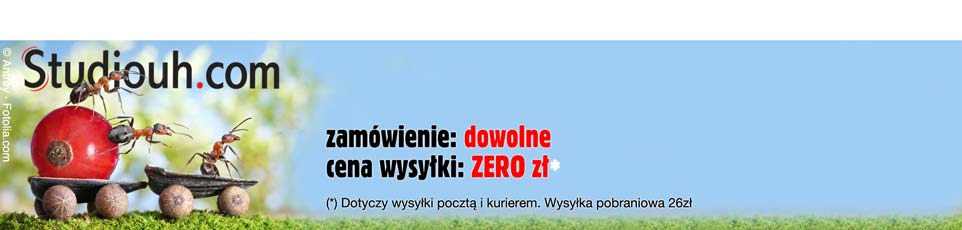 Nieustający Dzień Darmowej Dostawy
